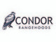 CONDOR